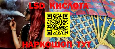 ECSTASY Гай