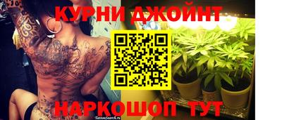 ECSTASY Гай