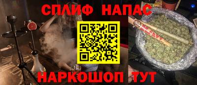 ECSTASY Гай